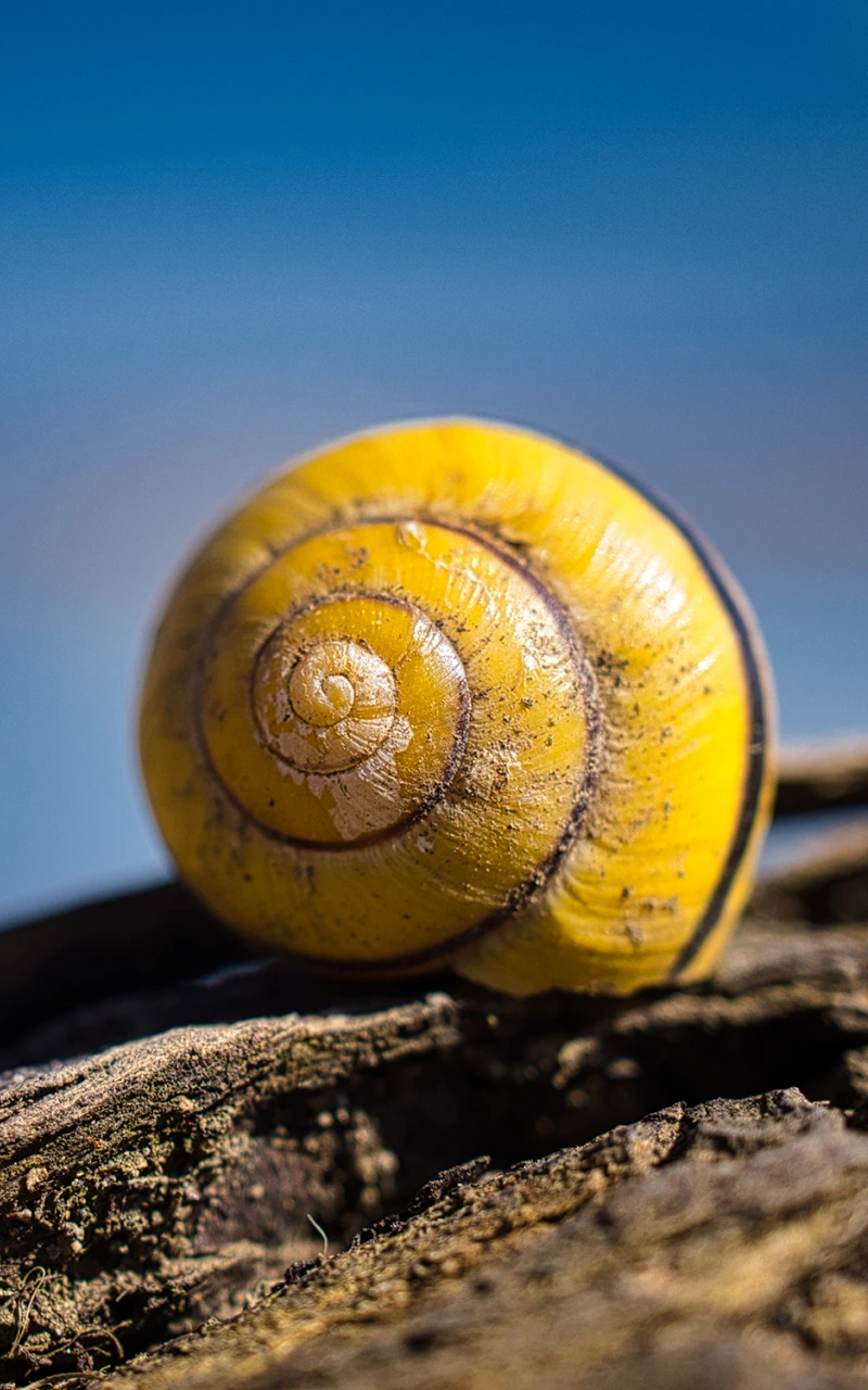 AI is rewriting B2B SEO: The new strategic playbook for search visibility